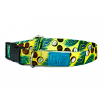 Collar Sport Cocos Amarillo - Collares para Perros y Gatos