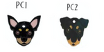 Placa de Identificación Pinscher Sam Pet - Placa de Identificación para Perros