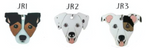 Placa de Identificación Jack Russell - Placas de Identificación Perros