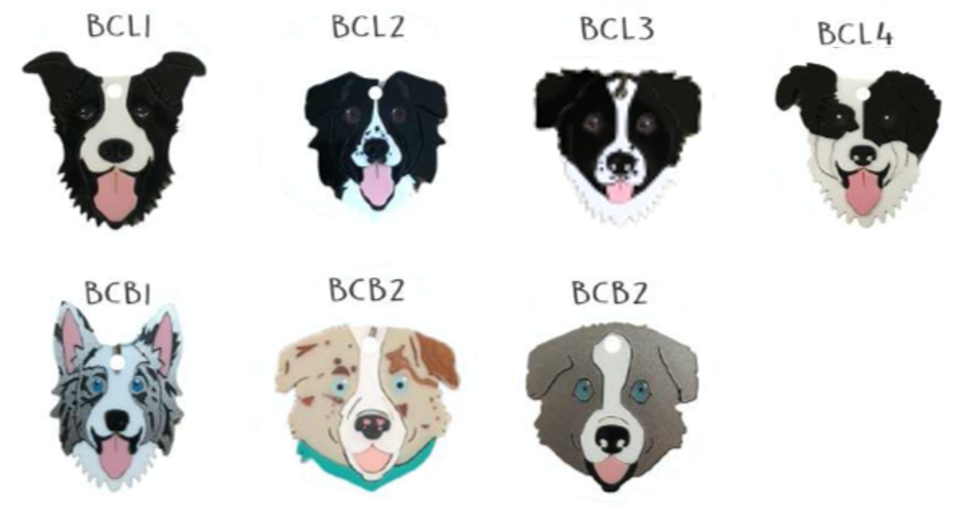 Placa de Identificación Border Collie Sam Pet - Placa de Identificación para Perros